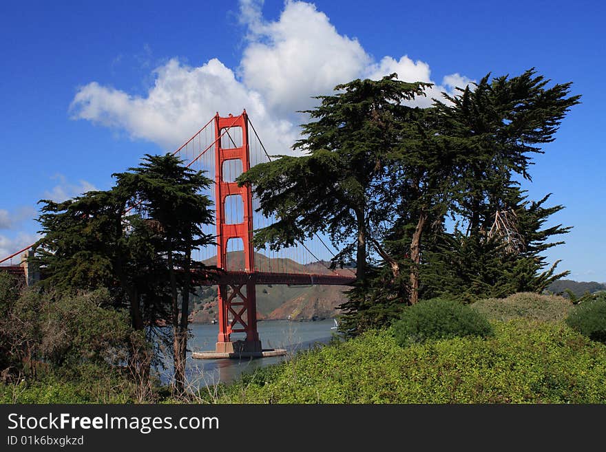 USA, San Francisco- Golden Gate Bridge through trees