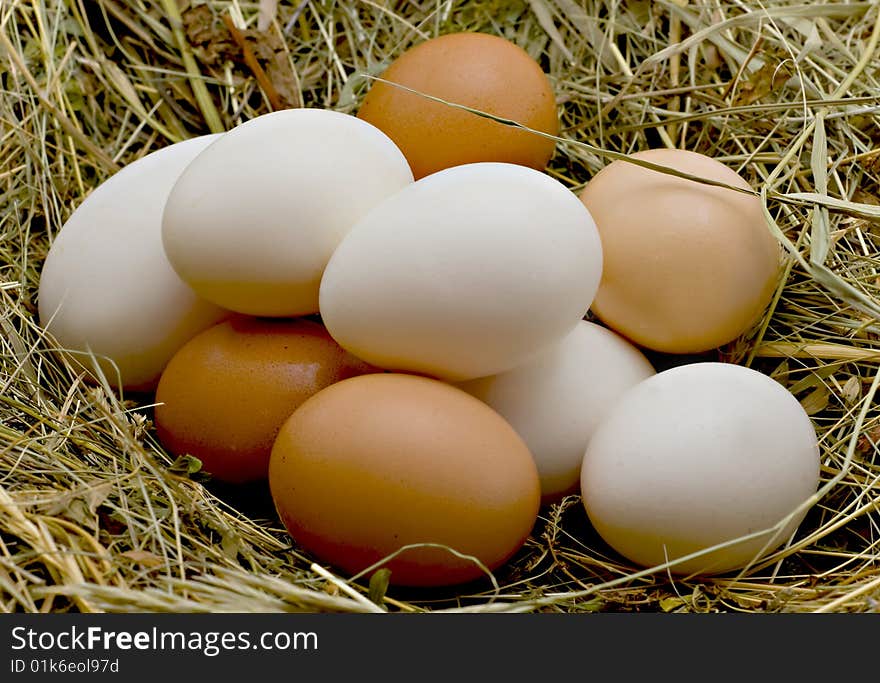 White and brown eggs lie on a dry grass