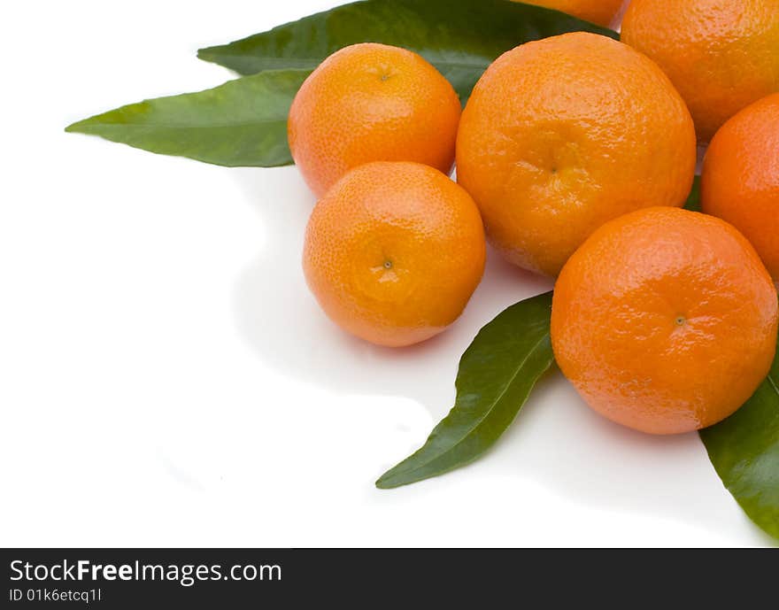 Tangerines with leaves isolated on a white background