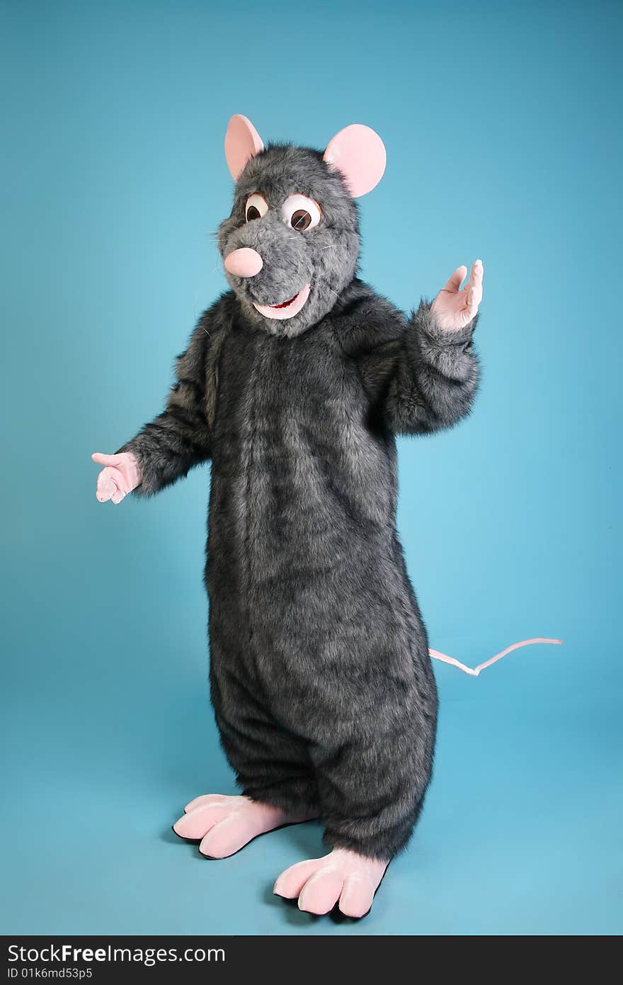 Rat