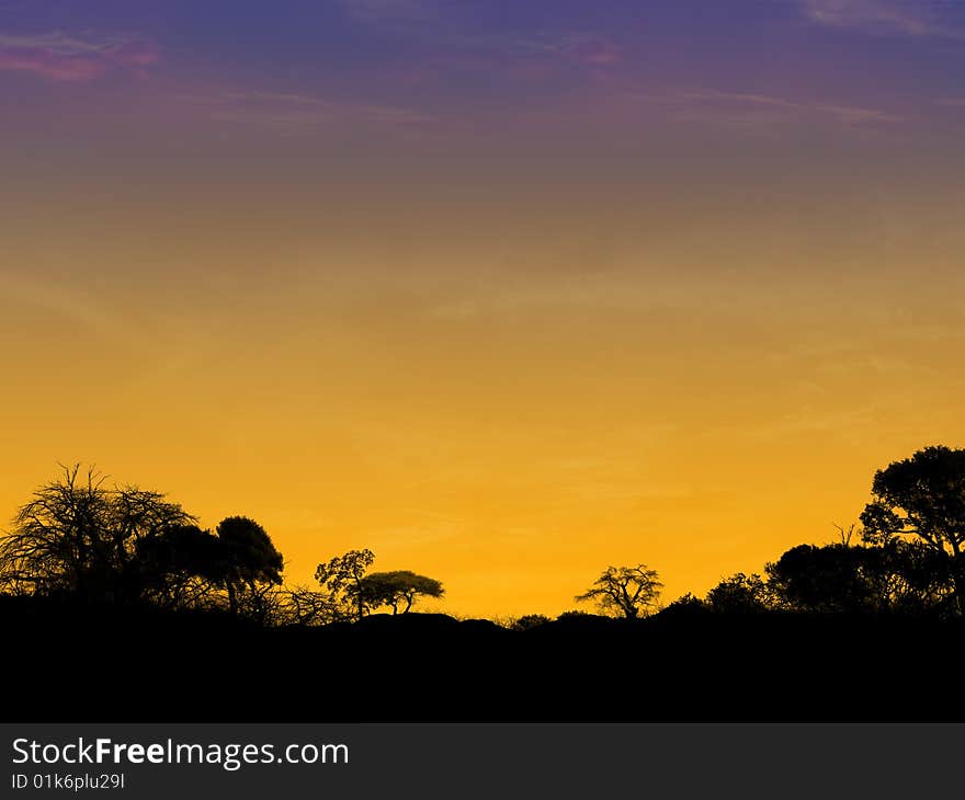 Sunset with black silhouette of trees