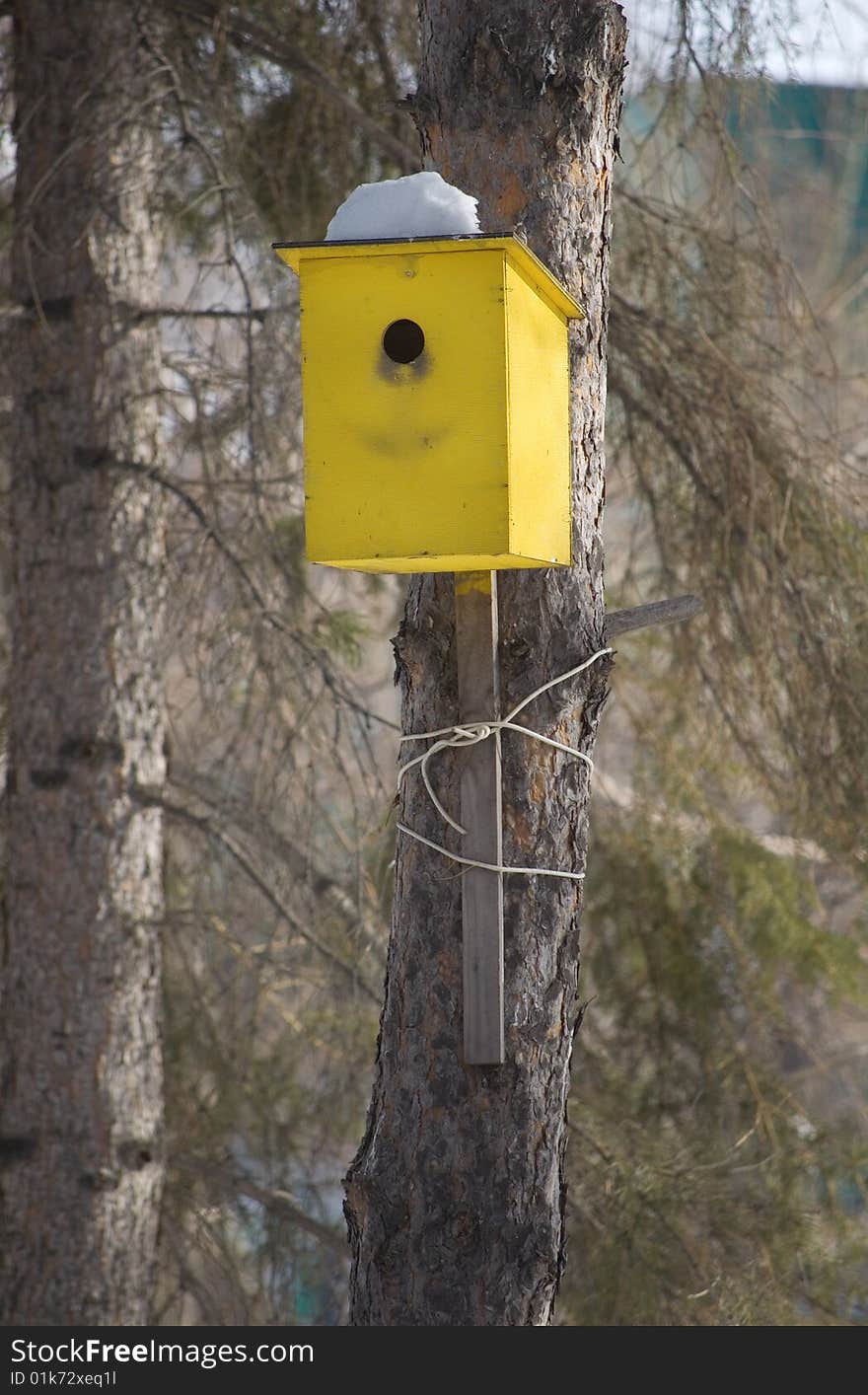 Yellow birdhouse on the tree