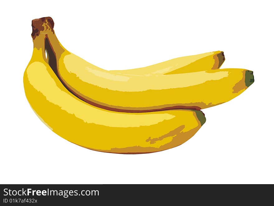 A branch of bananas against white background