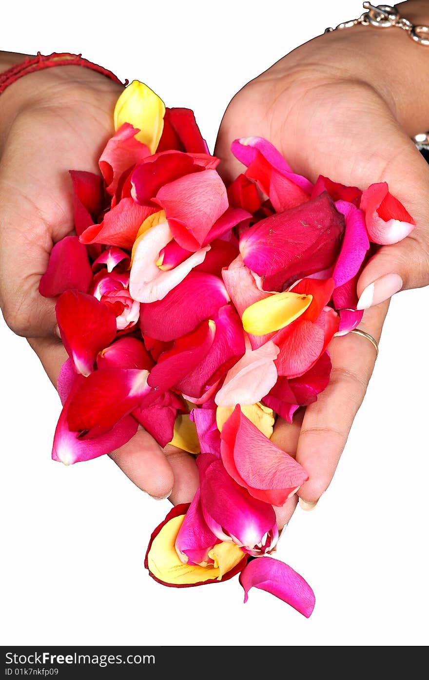 Rose petals falling from ladies hand.