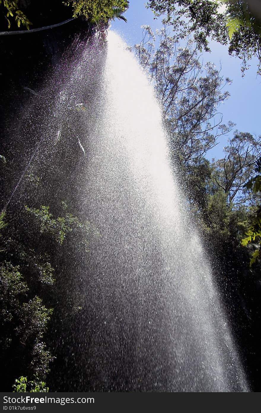 Forest Waterfall