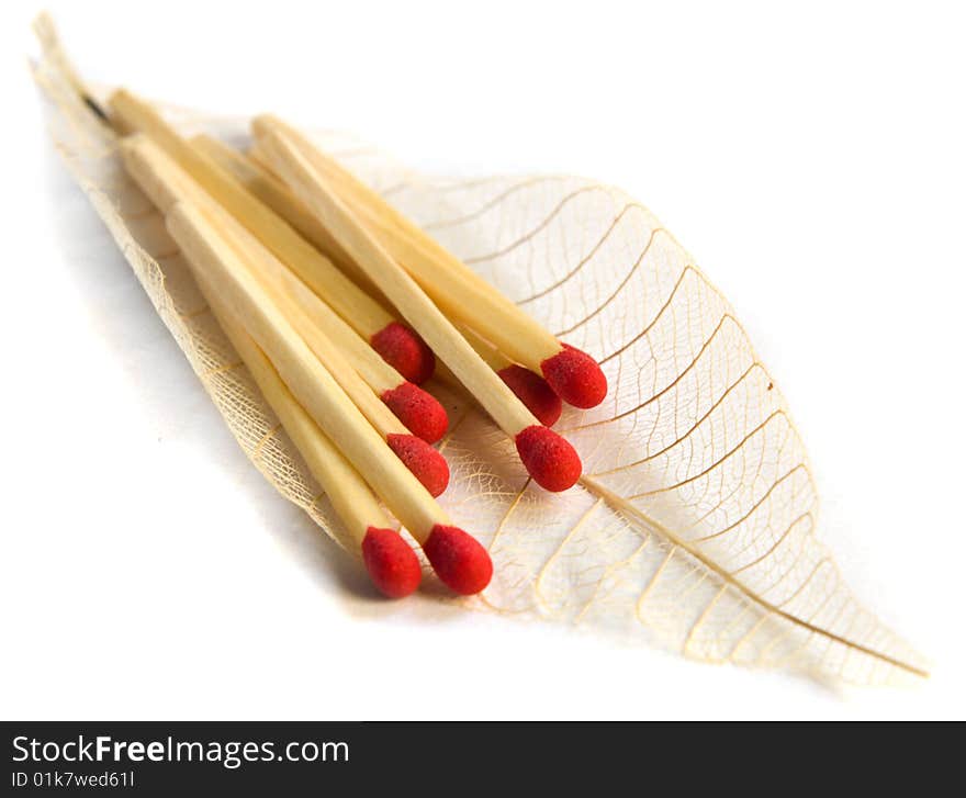 Close up of red matches on a feather