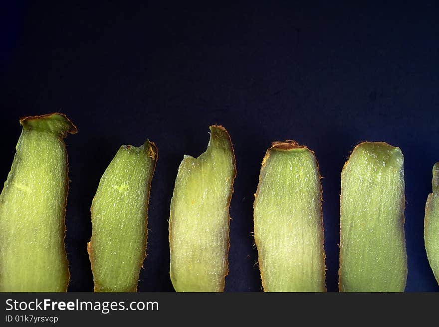 Abstract close shots of Kiwifruit. Abstract close shots of Kiwifruit