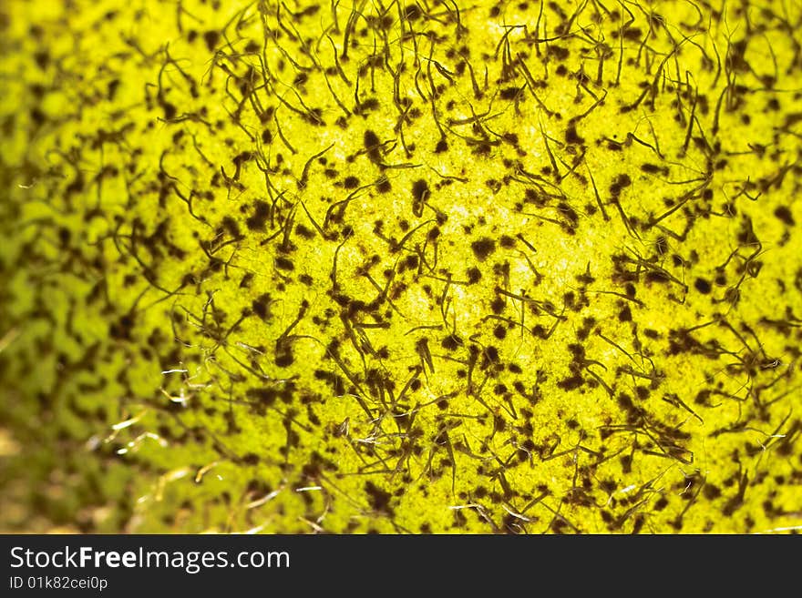 Abstract close up Kiwifruit images. Abstract close up Kiwifruit images