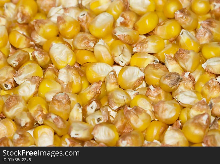 Corn 2