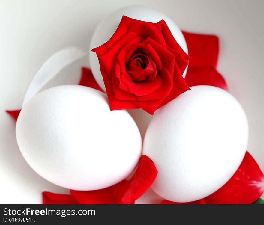 Red Rose S In A White Egg