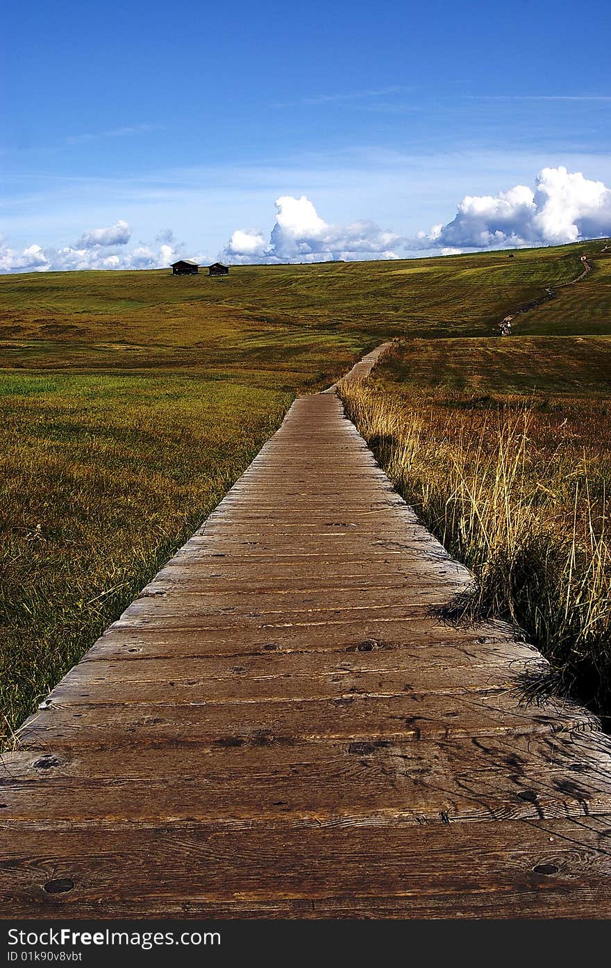 Hiking way in italian mountains in summer