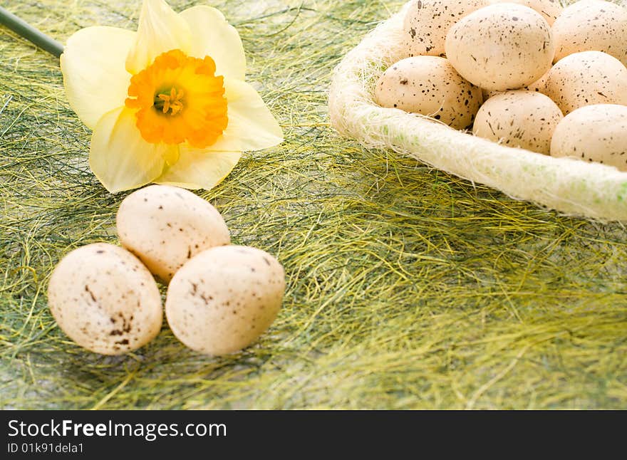 Daffodil and full basket with decorated speckled easter eggs. Daffodil and full basket with decorated speckled easter eggs