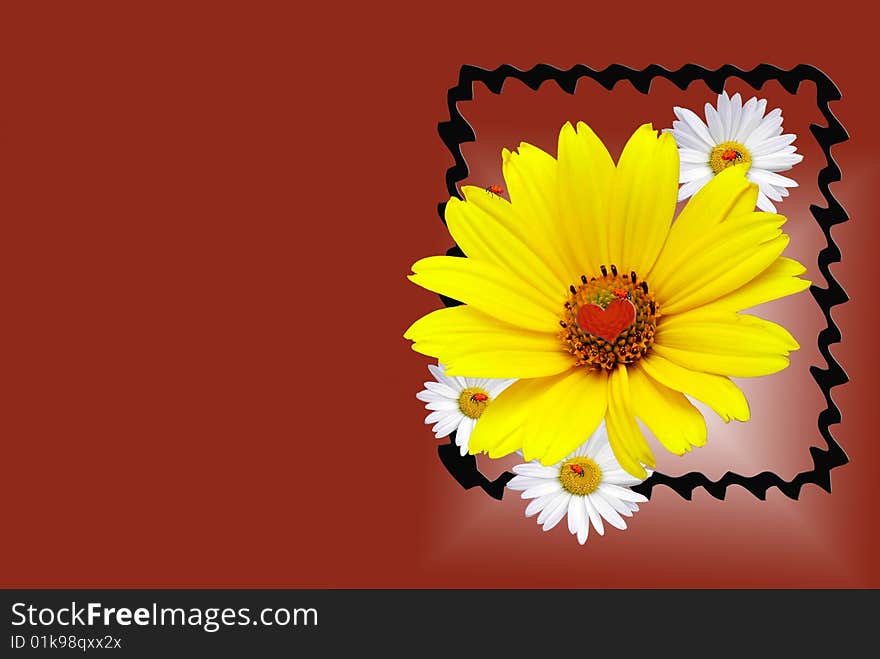 Ladybugs on daisies in fancy frame. Ladybugs on daisies in fancy frame.