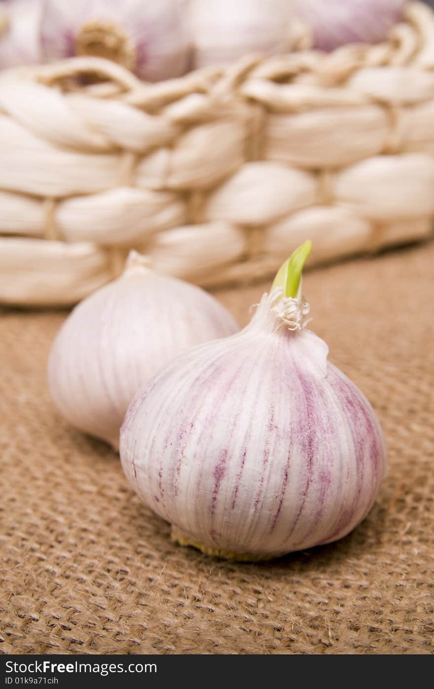 Garlic