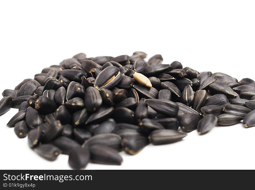 Sunflower Seeds