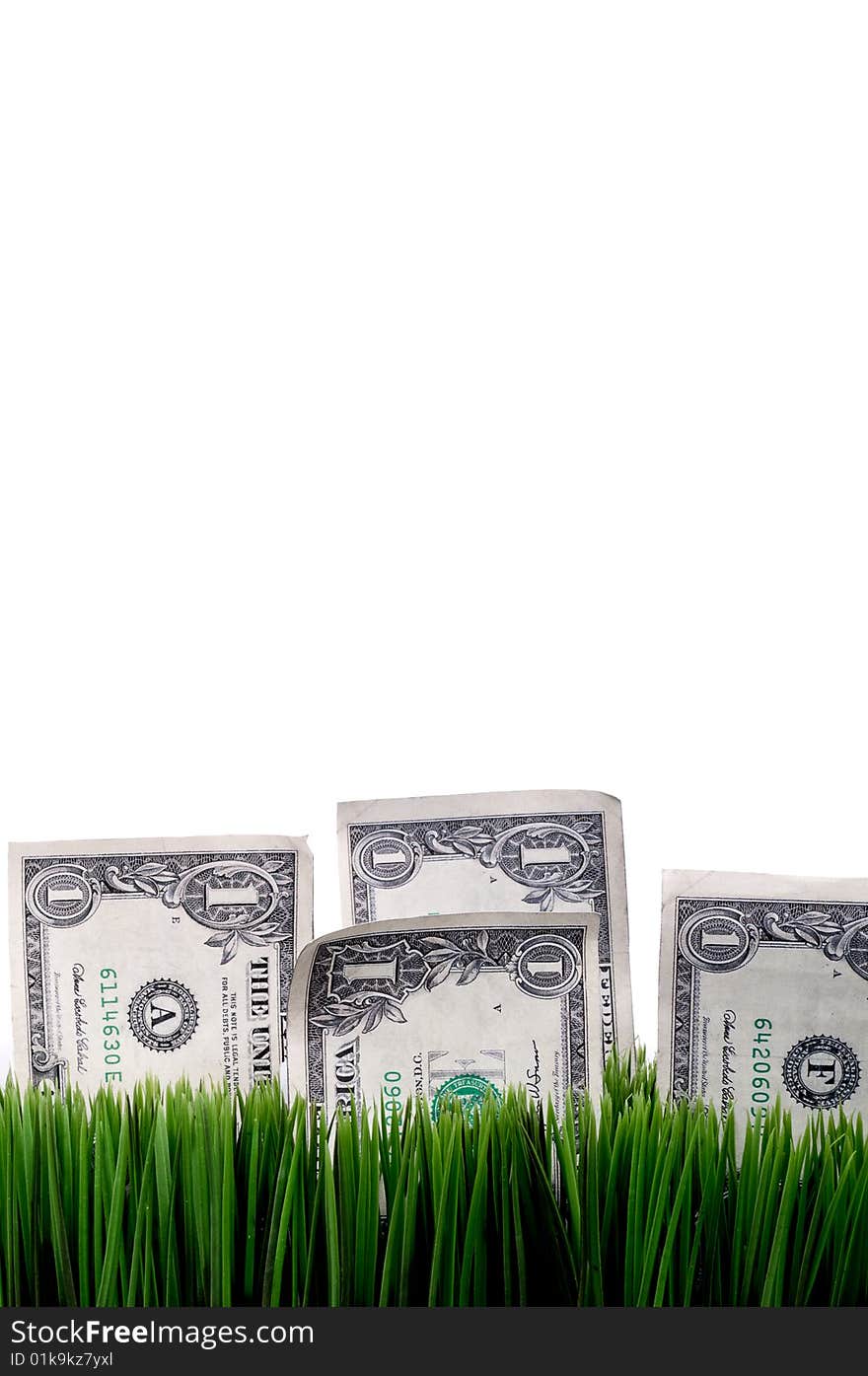 American Dollar Bills Stashed In Green Grass