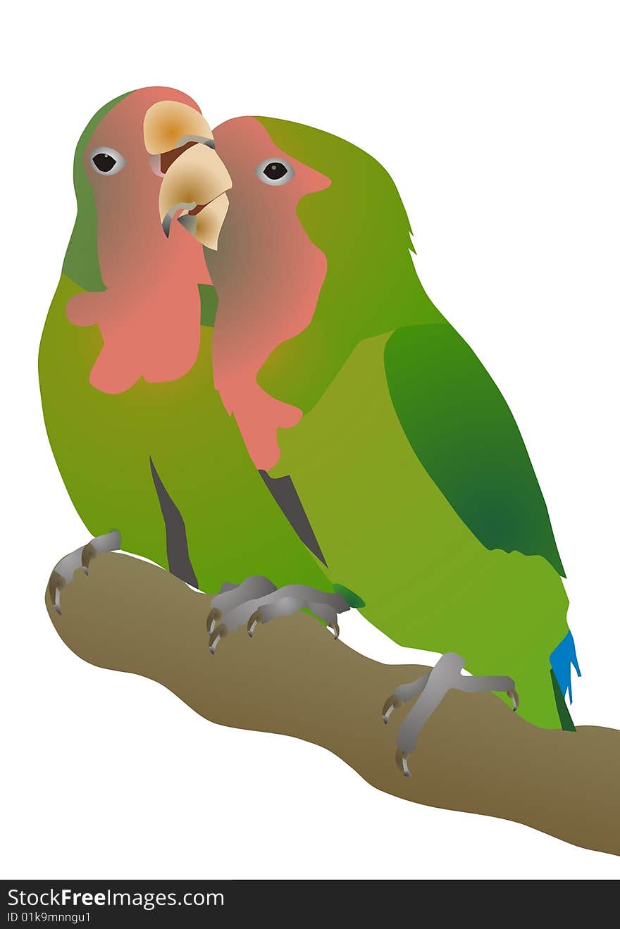 Pink-checked Parrots Agapornis Roseicollis