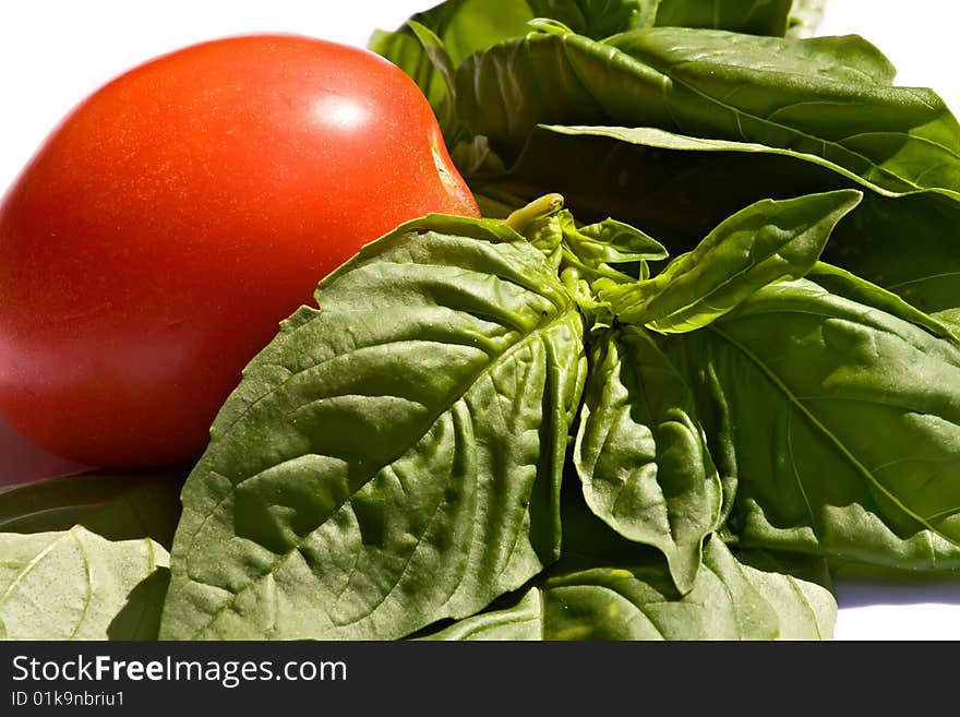 Fresh Tomato and Basil