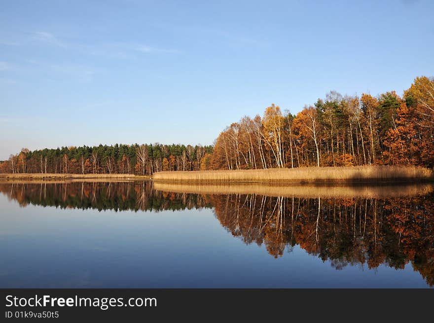 Mirror In the Lake