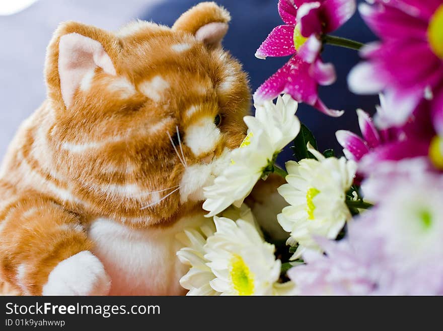 Toy-cat sniffing beautiful flowers. Toy-cat sniffing beautiful flowers