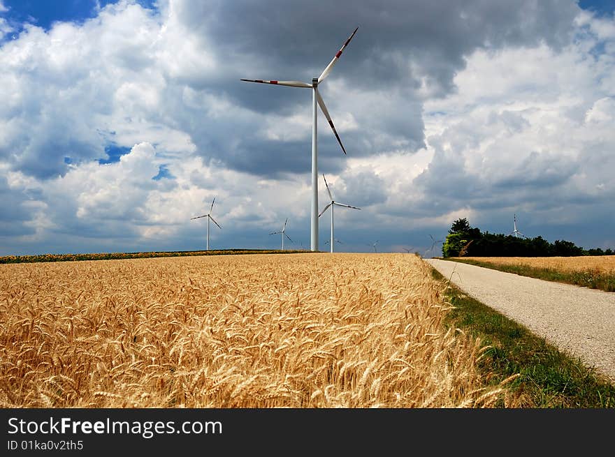 Wind Turbines In A Field