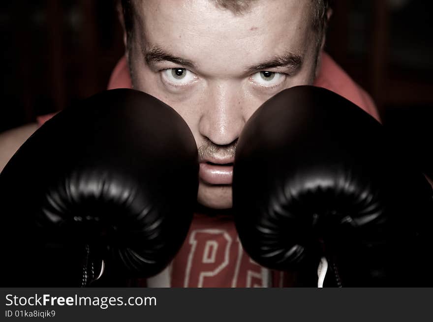 Menacing looking boxer staring down the barrel. Menacing looking boxer staring down the barrel