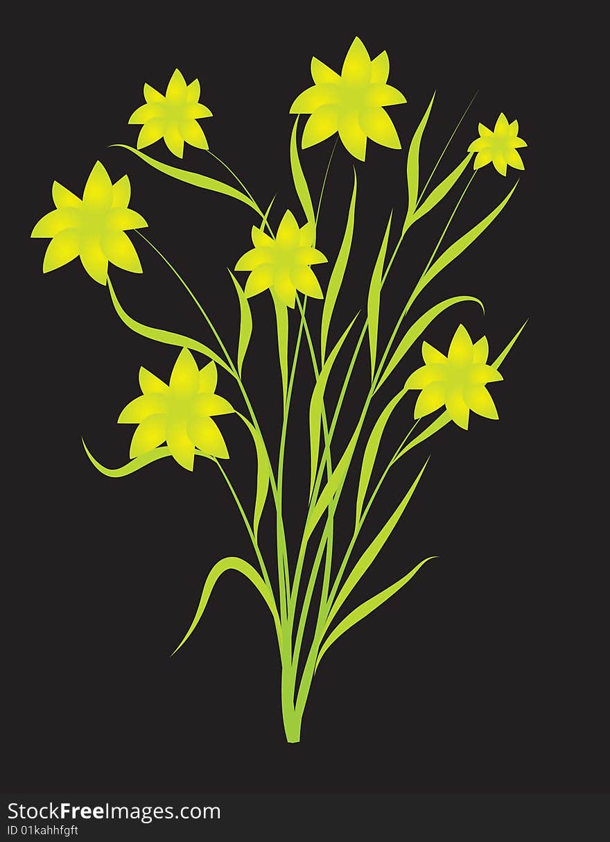 A bouquet of field flowers. Vector illustration