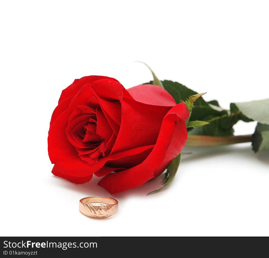 Rose and ring on white background