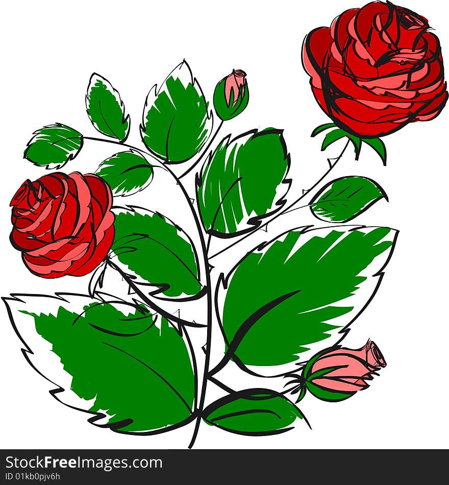 Vector illustration of red roses.