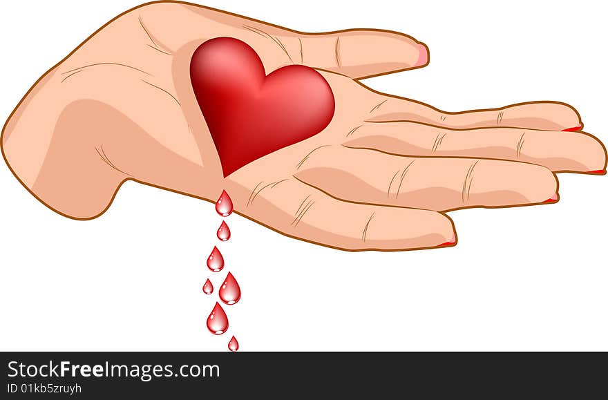 Female palm wiht heart. Vector. Female palm wiht heart. Vector.