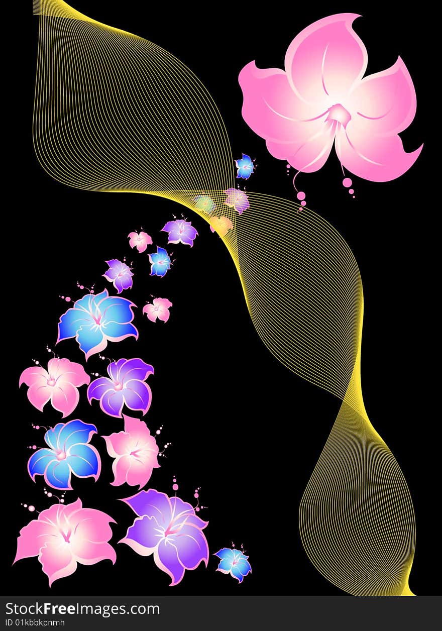 Beautiful abstract flower background on a black background