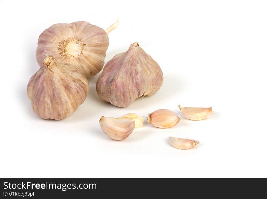 Garlic