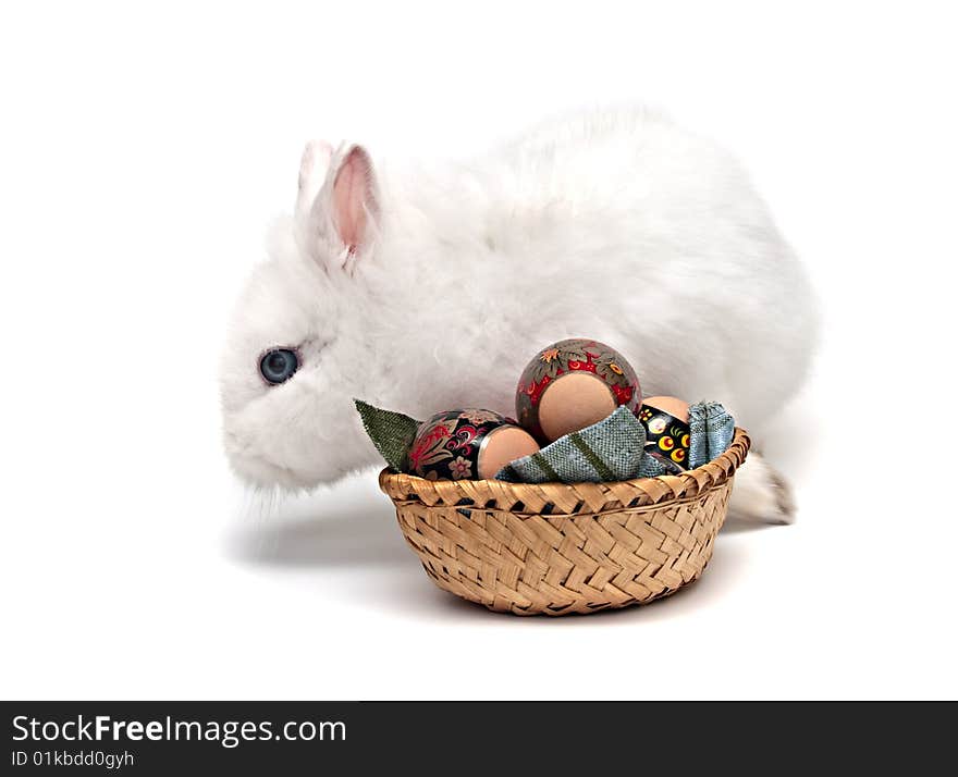 White Easter bunny with colored eggs and basket