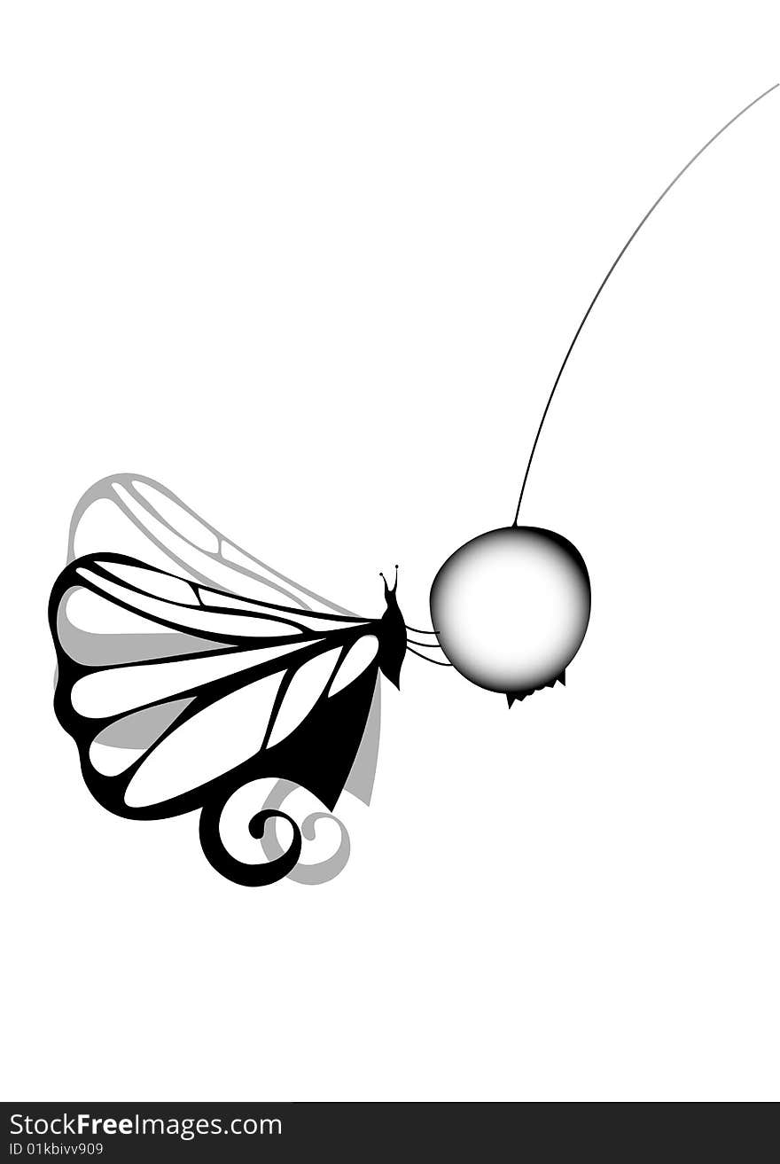 Vector illustration of stylized butterfly for design. Vector illustration of stylized butterfly for design