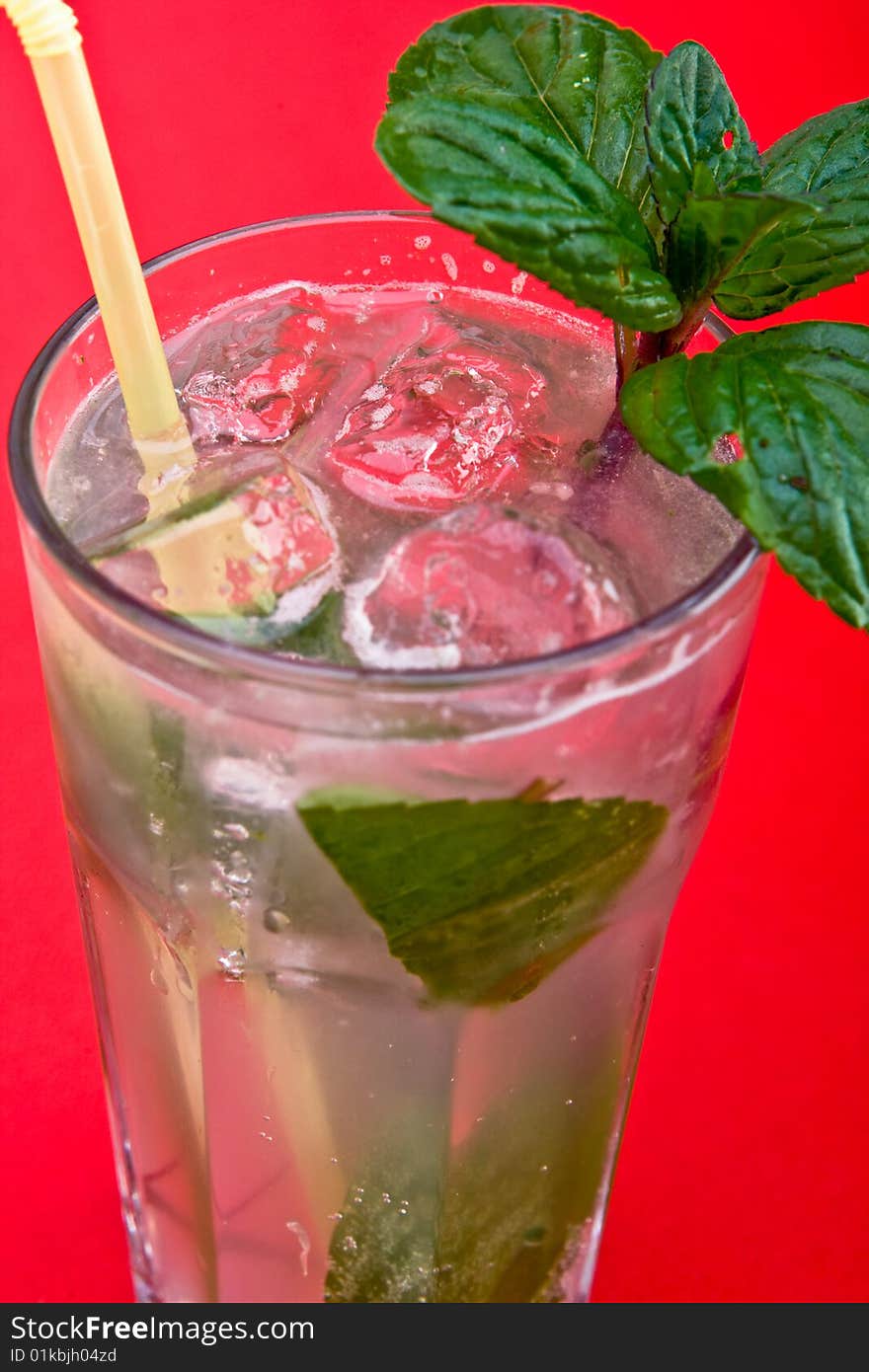 Mojito Cocktail