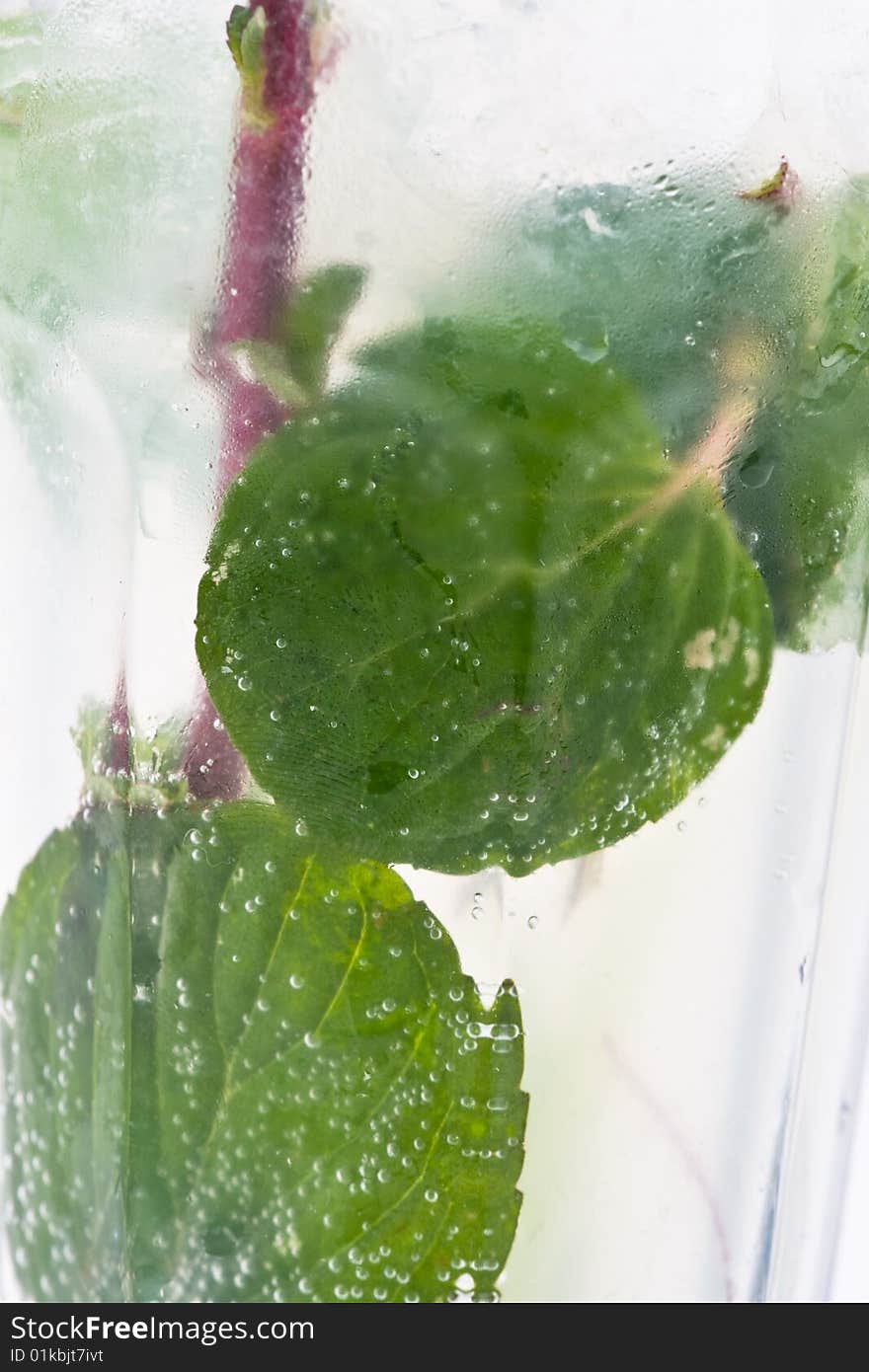 Mojito cocktail on a white background