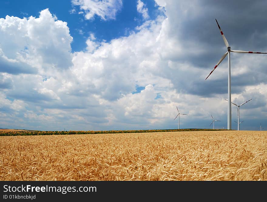 Wind turbines in a field