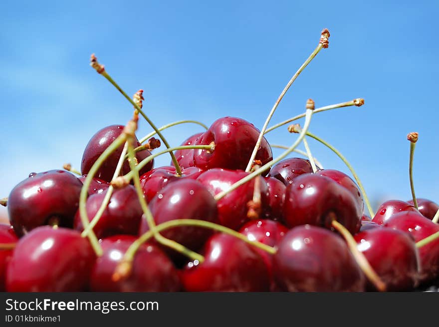 Wild cherries