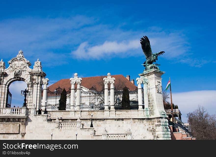 Bird on the hill in Budapest