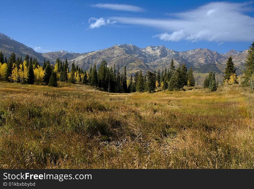 High Mountain Flat in the fall showing all the fall colors with mountains in the background. High Mountain Flat in the fall showing all the fall colors with mountains in the background