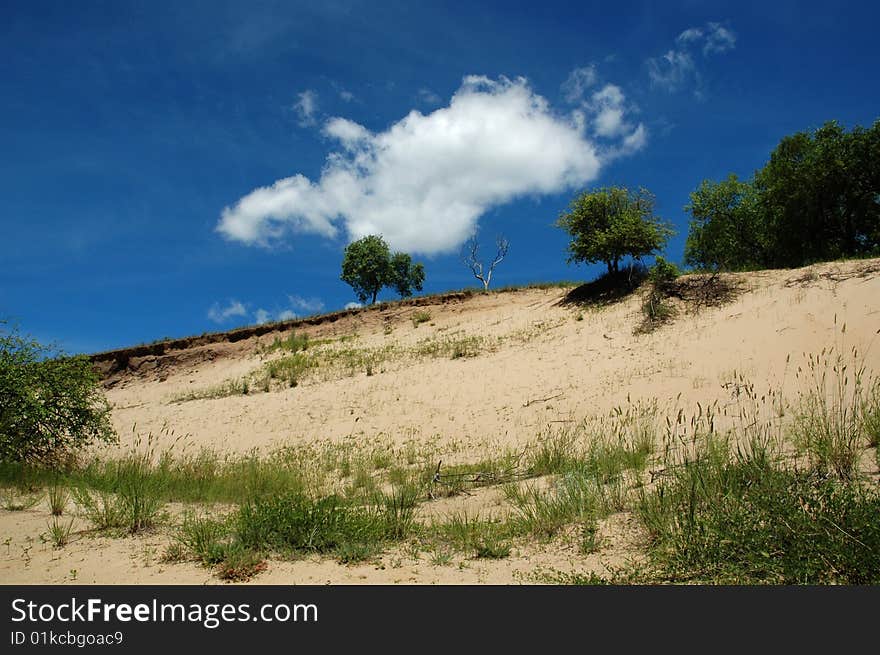 Beautiful blue sky and white clouds of cattle and sheep on the grasslands. Beautiful blue sky and white clouds of cattle and sheep on the grasslands