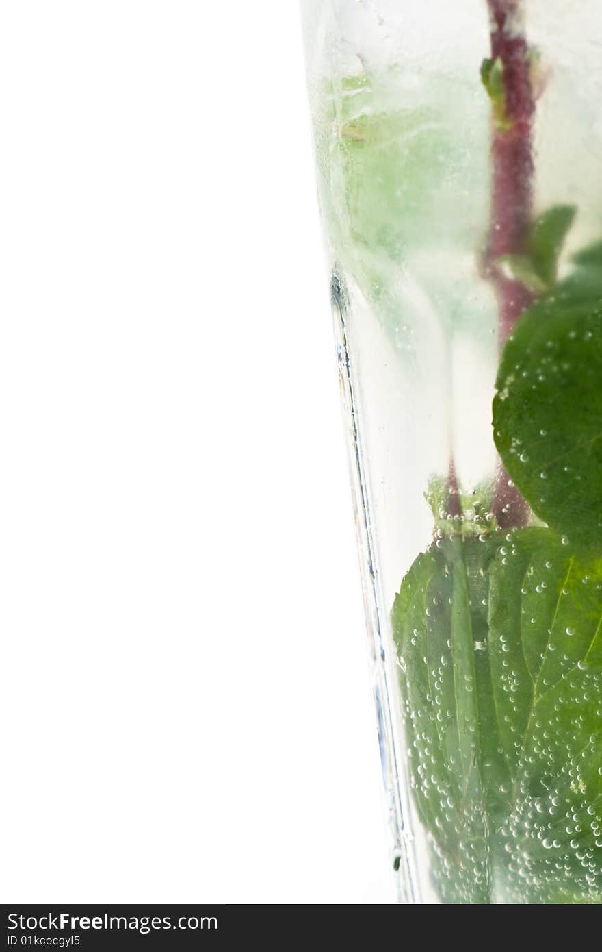 Mojito cocktail on a white background