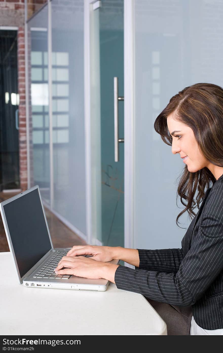 Business woman laptop in modern office. Business woman laptop in modern office