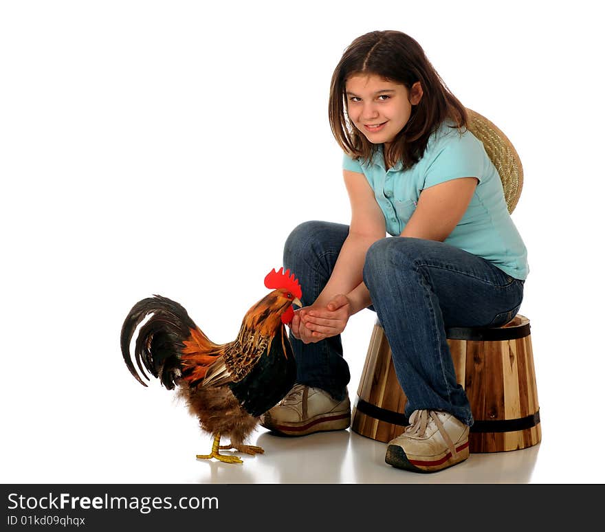 A happy country girl sitting on a barrel hand-feeding a rooster. Isolated on white. A happy country girl sitting on a barrel hand-feeding a rooster. Isolated on white.