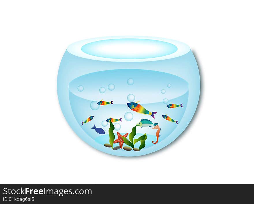 There are many small fishes in the aquarium. There are many small fishes in the aquarium