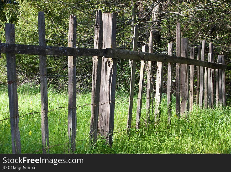 Old fence in the grass