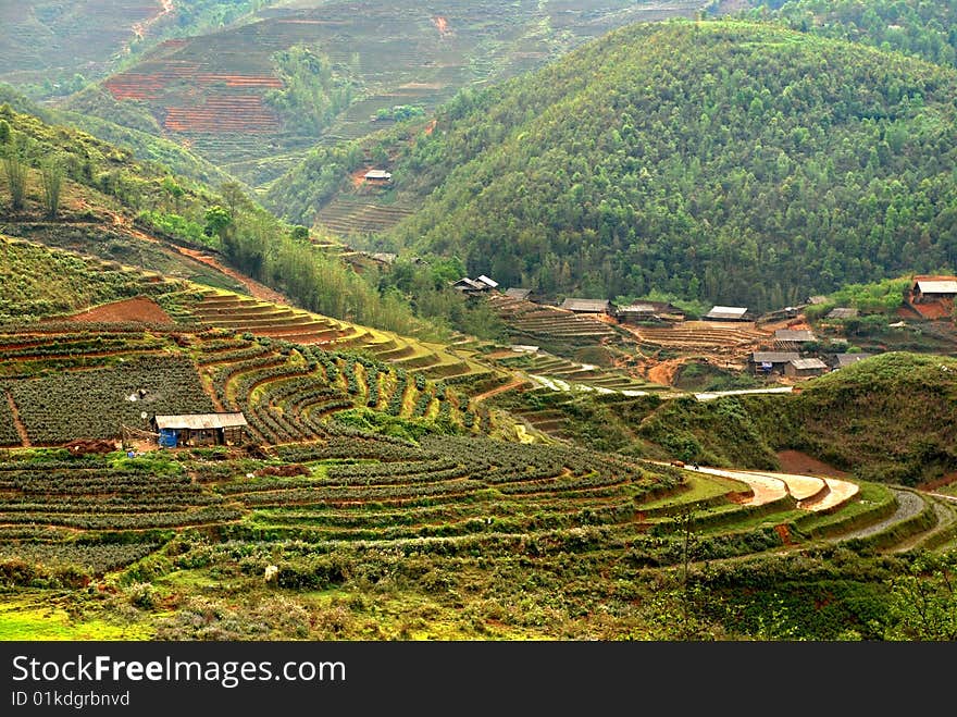 Village in the terrace field