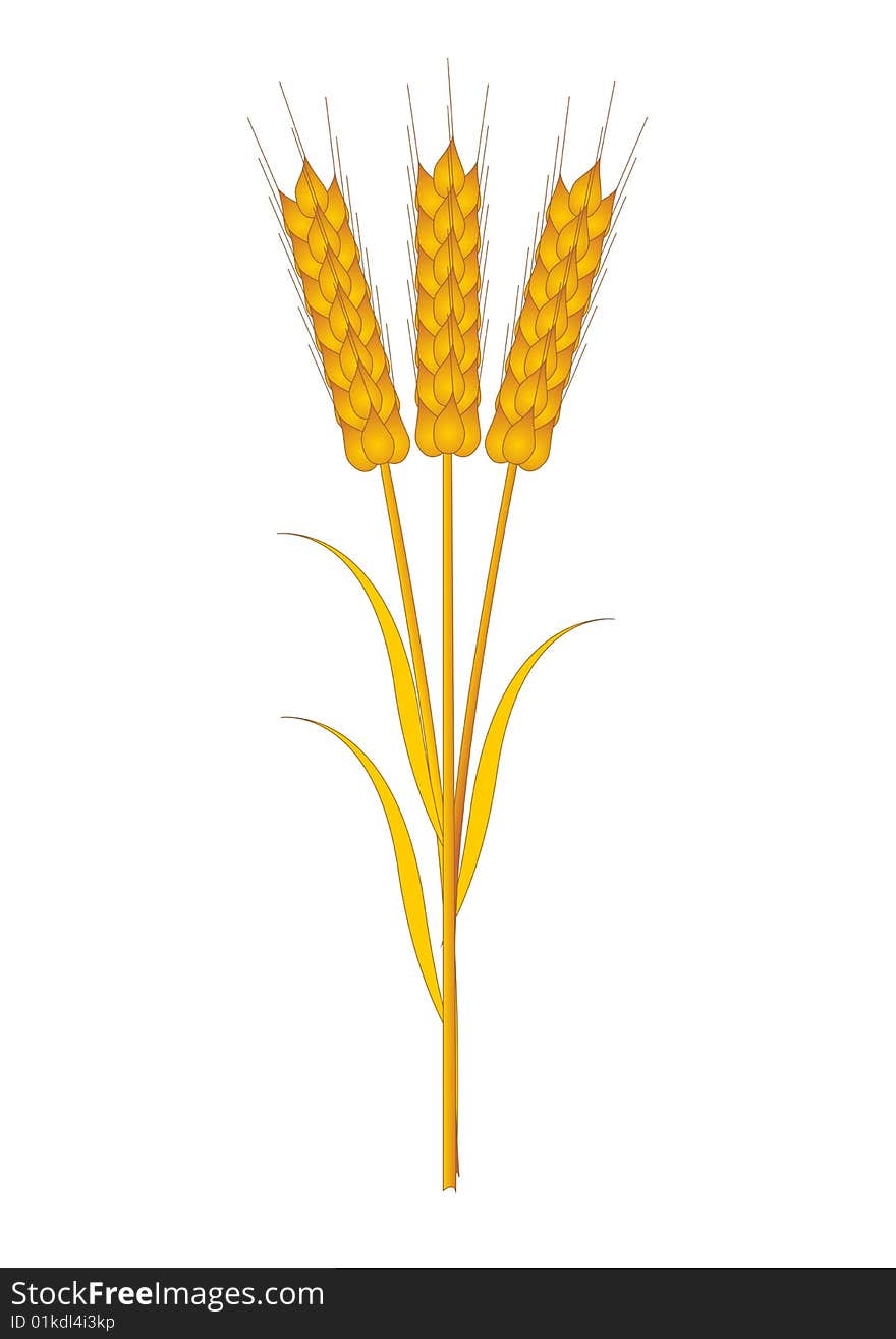 Three wheat ears