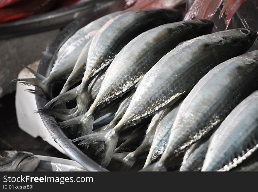 Fresh mackerel is taken to market fresh. Fresh mackerel is taken to market fresh.