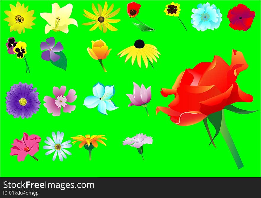 Set from twenty various flowers. Vector. Without mesh.